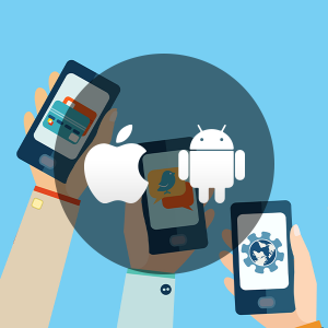 2. APP Customization
